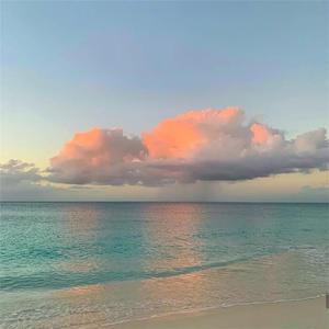 美女撒尿❌❌❌人妻熟女
